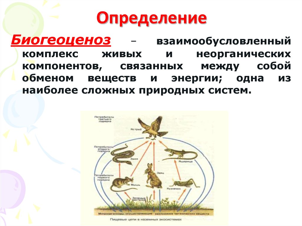 Биогеоценозы и биоценозы презентация 9 класс биология