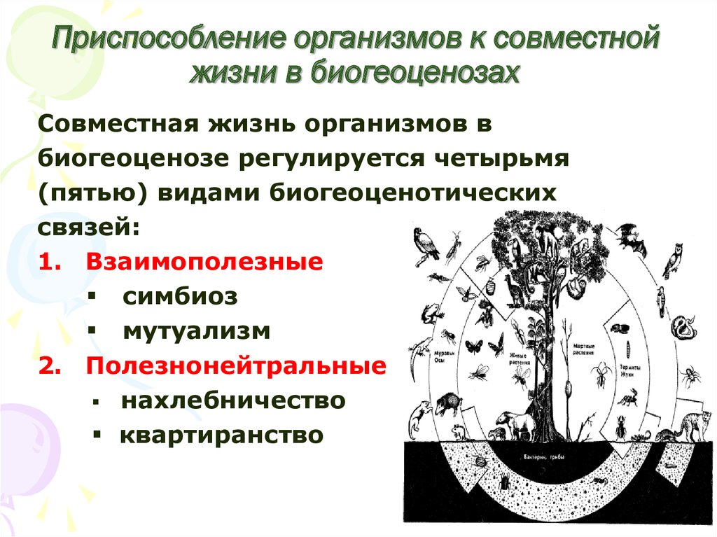 Виды сожительства организмов. Приспособленность организмов к совместной жизни. Приспособление организмов к совместной жизни в биогеоценозах. Приспособление видов к совместной жизни в биогеоценозе. Приспособленность организмов к совместной жизни в экосистеме.