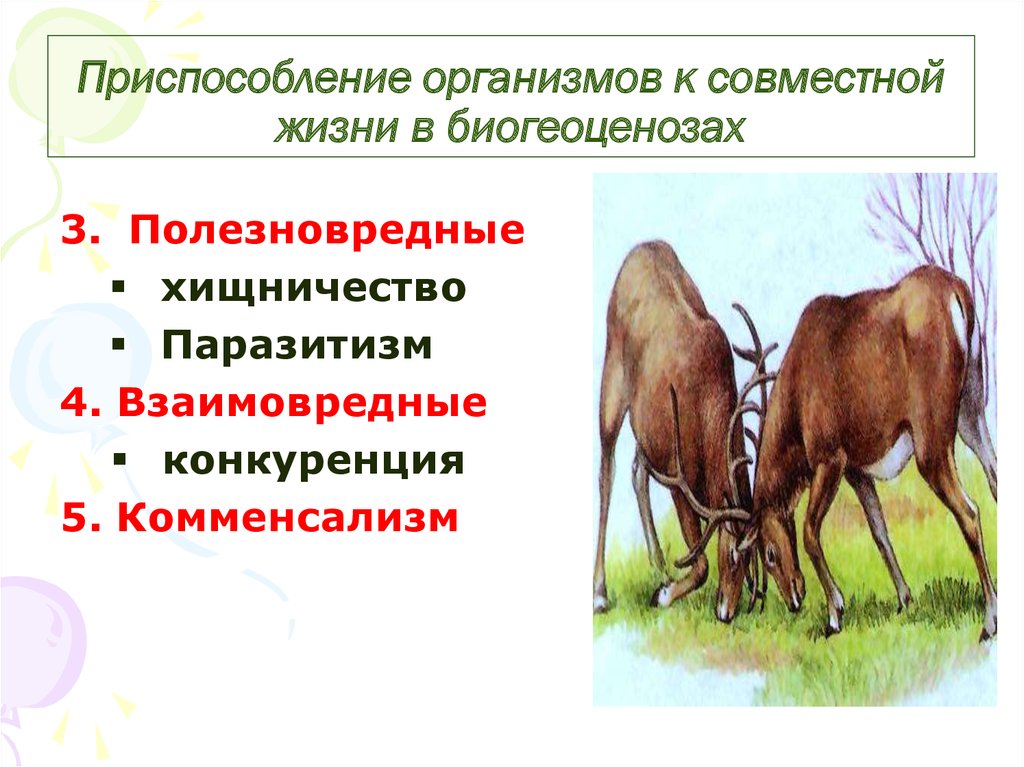 Совместный организм. Приспособленность организмов к совместной жизни. Приспособление организмов к совместной жизни в биогеоценозах. Приспособление видов к совместной жизни в биогеоценозе. Приспособления растений к совместной жизни.