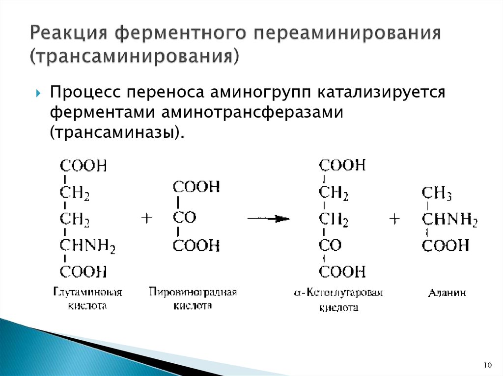 Пировиноградная кислота процессы