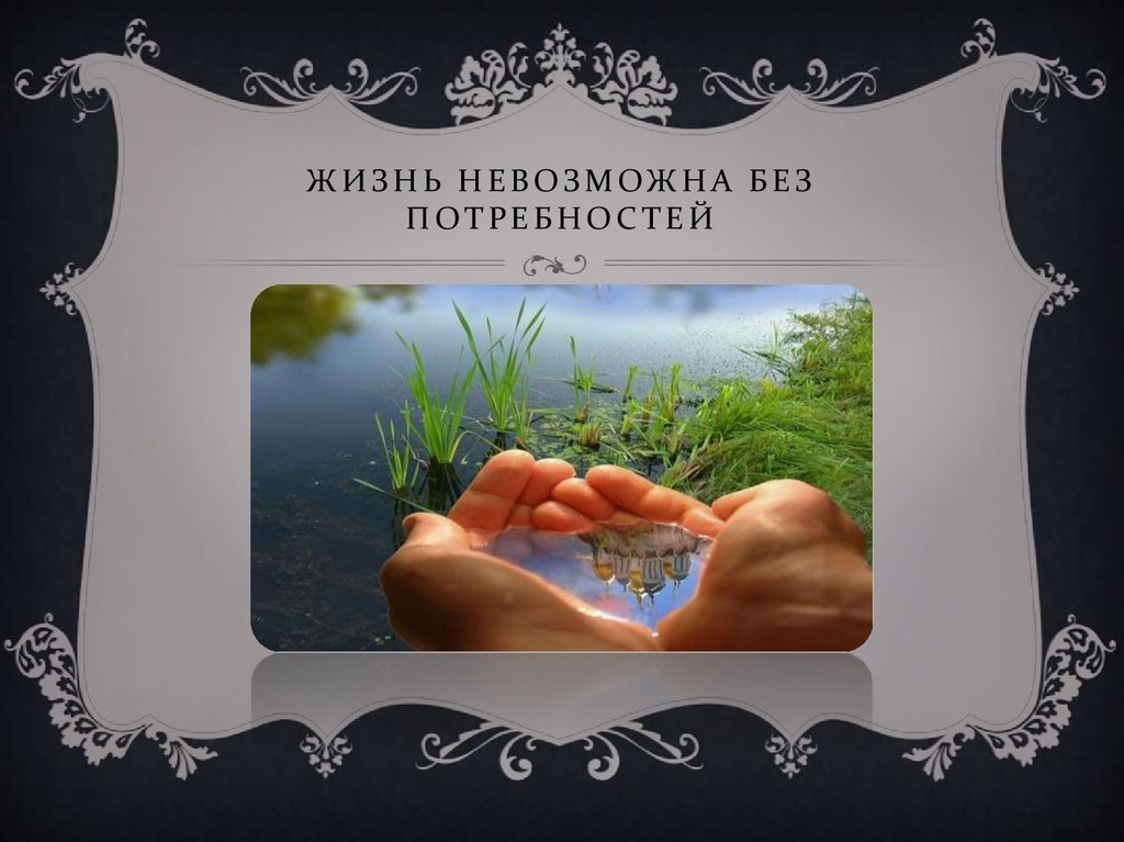 Жизнь невозможна без потребностей