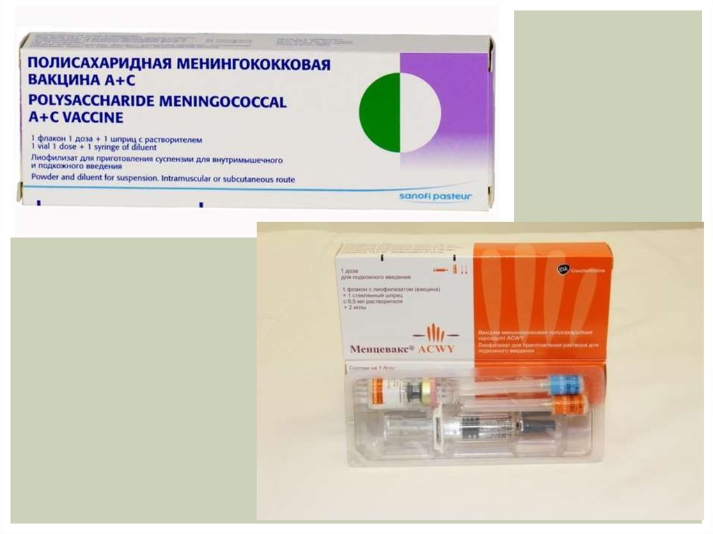 Вакцинация против менингококковой инфекции. Вакцина менингококковая полисахаридная. Менингококковая прививка вакцина. Менингококковая вакцина Тип. Вакцина против менингококка.