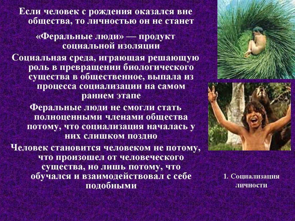 Человек живущий вне общества. Человек вне общества примеры. Феральные люди Обществознание. Человек с рождения становится личность. Примеры феральных людей.