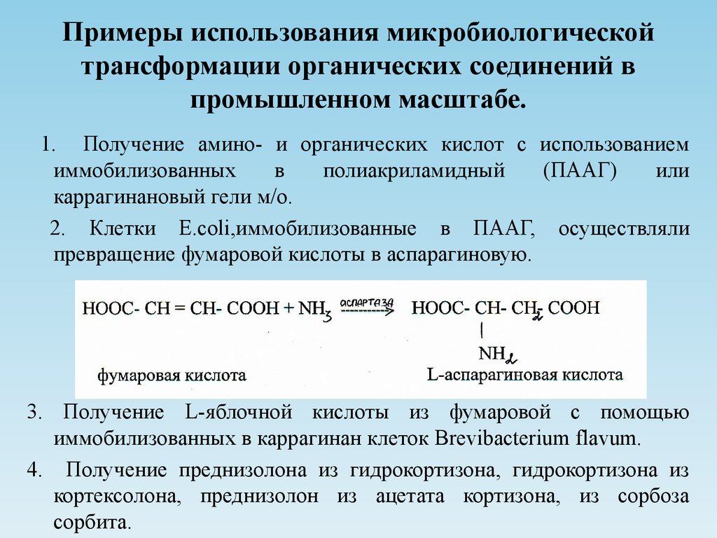 Превращение органических веществ в неорганические