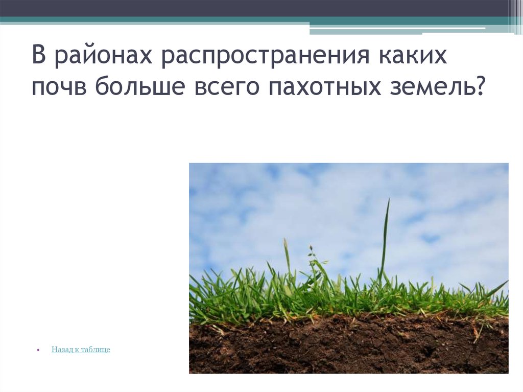 Почва является системой. Основа почвы. Что составляет основу почвы?. Основой почвы является. Что составляет основу почвы основа.