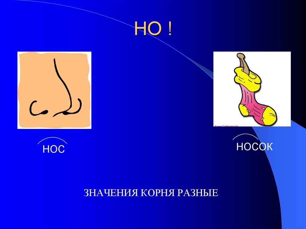 Значило корень. Значение носа. Носки для носа. Нос в носке. Показать нос значение.