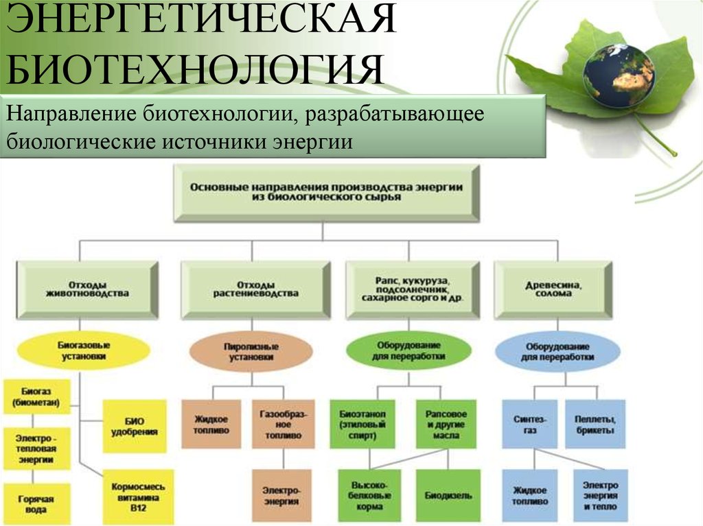 Биотехнология урфу учебный план