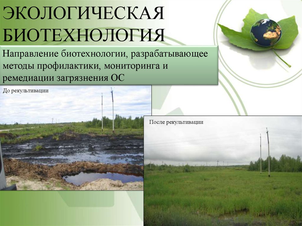 Способы окружающей среды. Экологическая биотехнология. Природоохранные биотехнологии. Методы экологической биотехнологии. Экологическая биотехнология презентация.