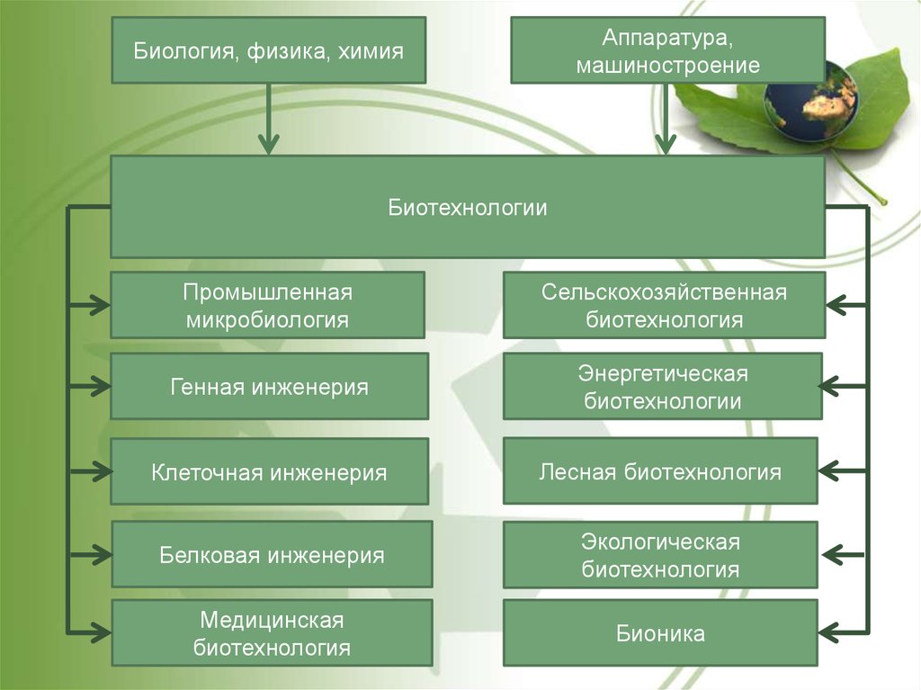 Биотехнологии биология 11 класс. Бионика и биотехнологии. Экологическая биотехнология. Экологическая инженерия в биотехнологии. Биотехнология это в биологии.