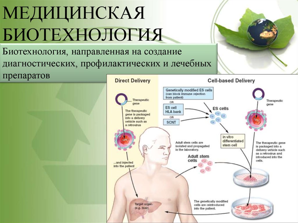 Биотехнология в медицине презентация