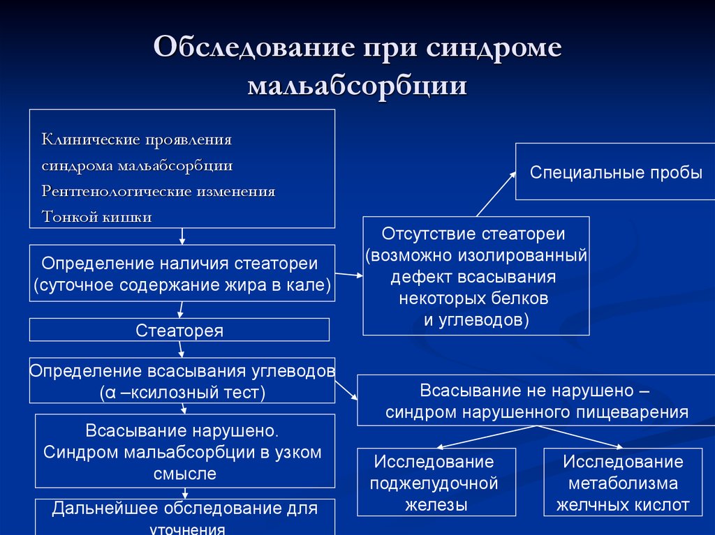 Синдром мальдигестии патофизиология презентация