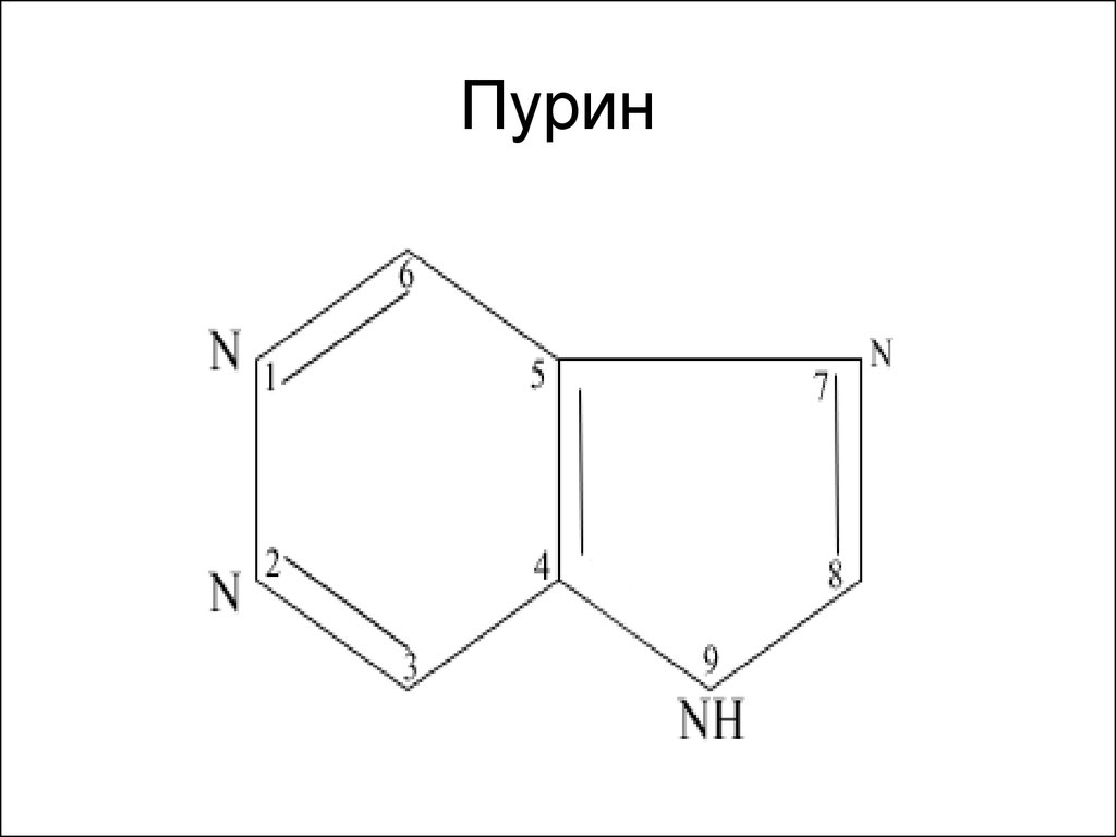 Пурин нова