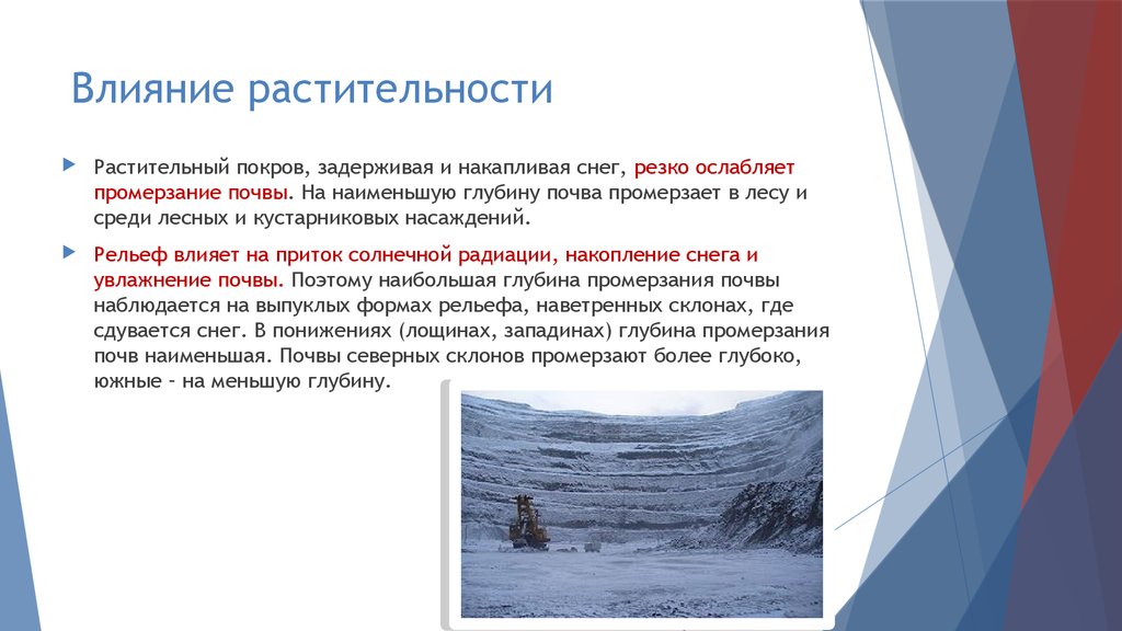 Влияния почв на растительность. Снежный Покров влияние. Влияние растительности. Влияние растительного Покрова на почву. Влияние рельефа на климат.