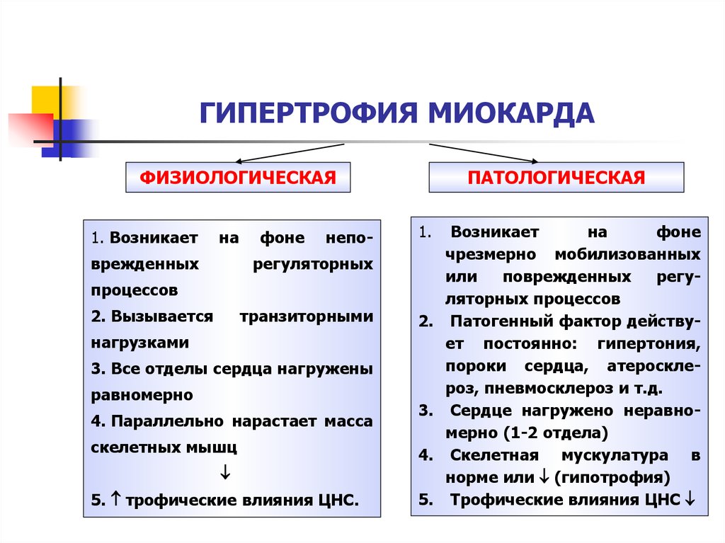 Стадии компенсаторной гиперфункции миокарда. Гипертрофия сердца классификация. Гипертрофия миокарда классификация. Физиологическая и патологическая гипертрофия миокарда. Механизм развития гипертрофии миокарда.