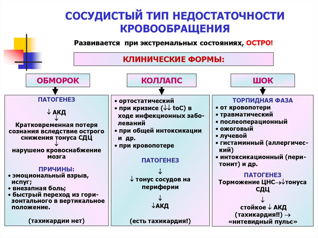 Виды кровообращения