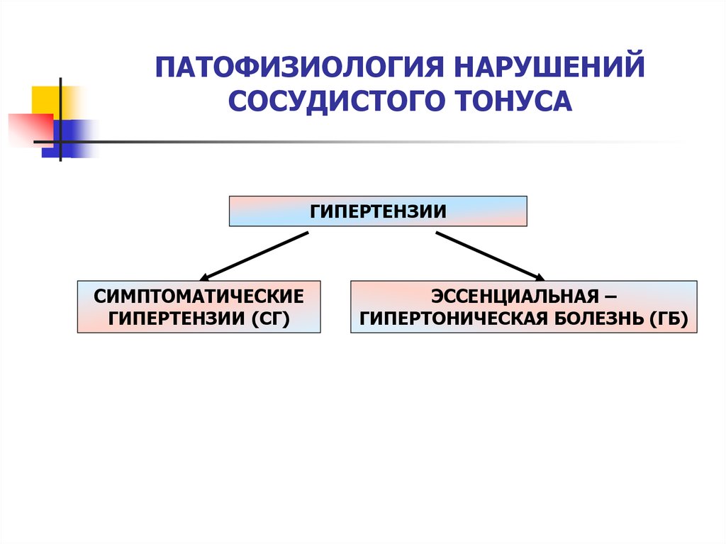 Патофизиология сосудистого тонуса презентация