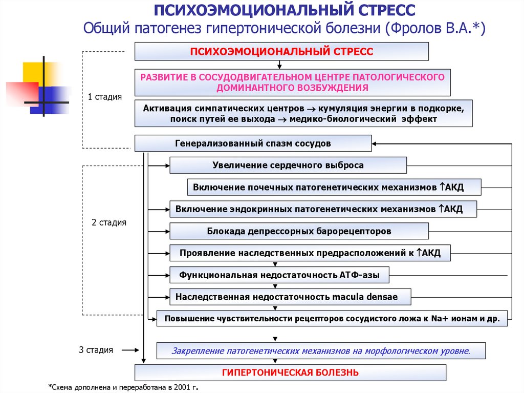 Схема патогенеза стресса