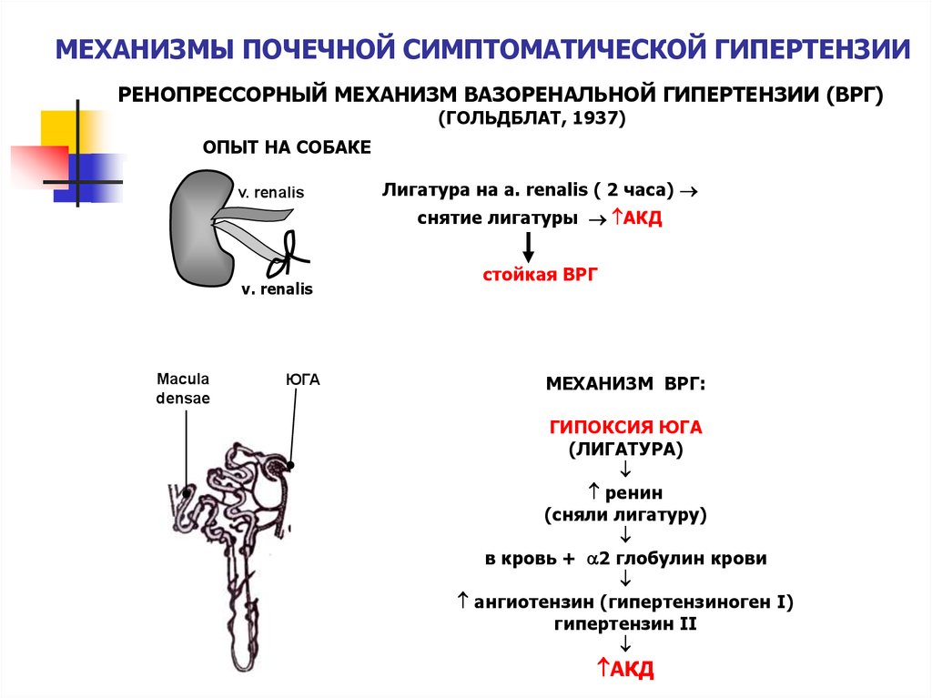 Давление при заболевании почек