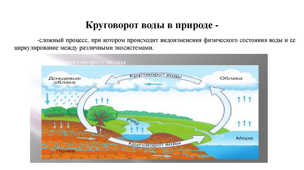 Схема круговорота в природе