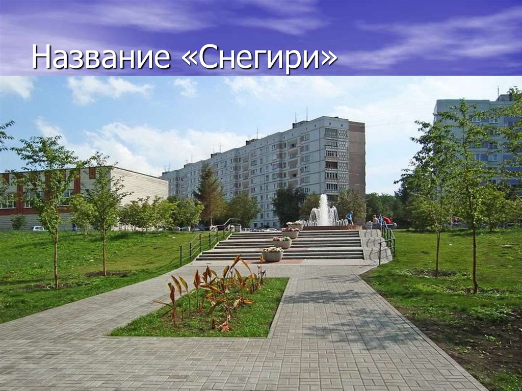 Название «Снегири»