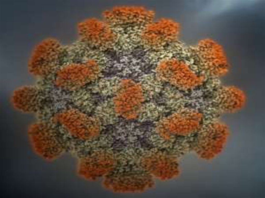 Вирусы вызывающие гепатит. Вирусный гепатит е возбудитель. Вирус гепатита e. Вирус гепатита под микроскопом. Вирус гепатита е картинка.