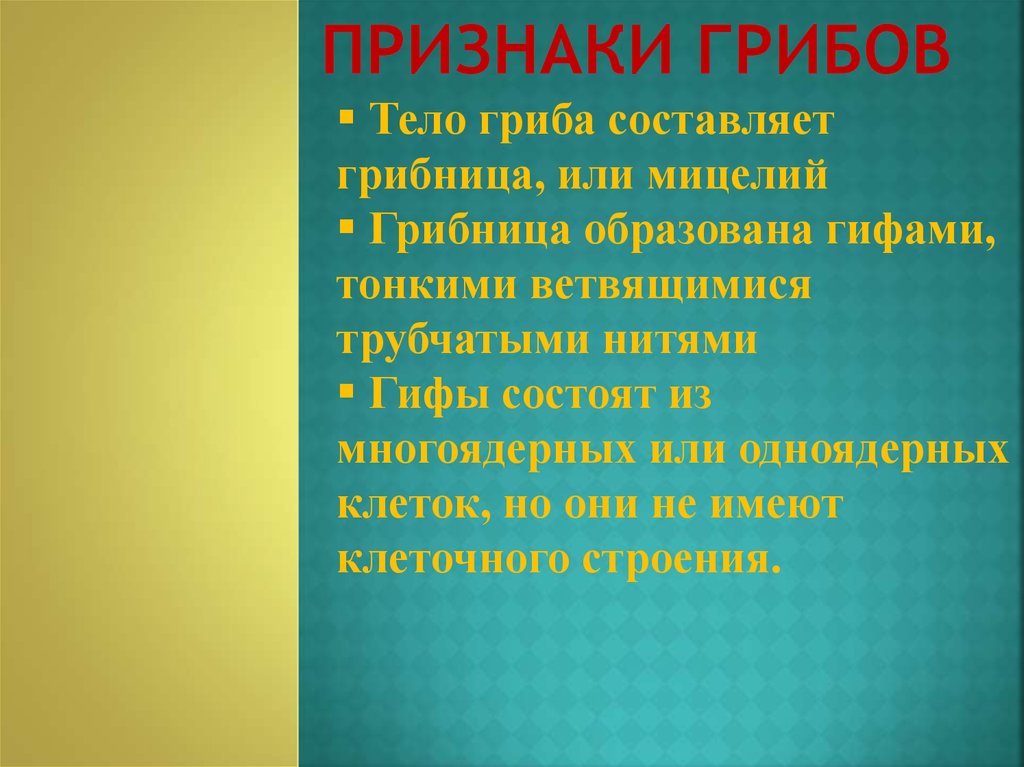 Признаки грибов