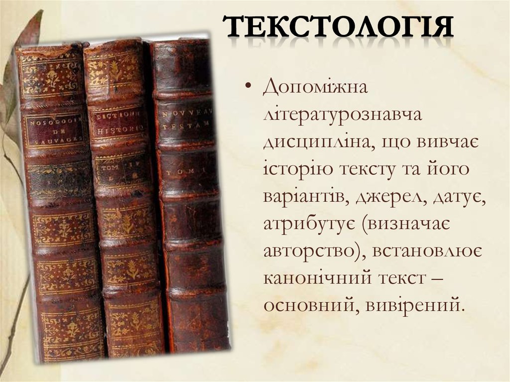 Текстология. Текстология это кратко. Текстология картинки. Текстология это в литературе.