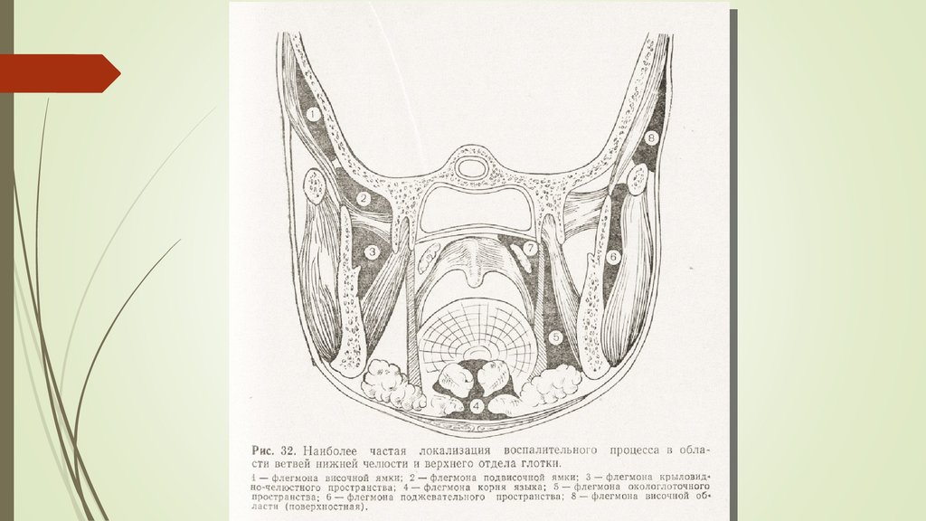 Spatium retropharyngeum