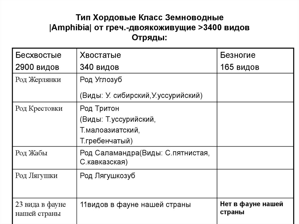 Таблица характеристики земноводных