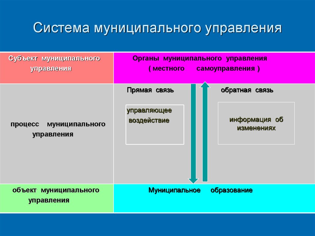 Субъекты муниципального образования