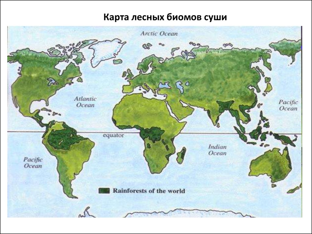 Карта дождевых лесов