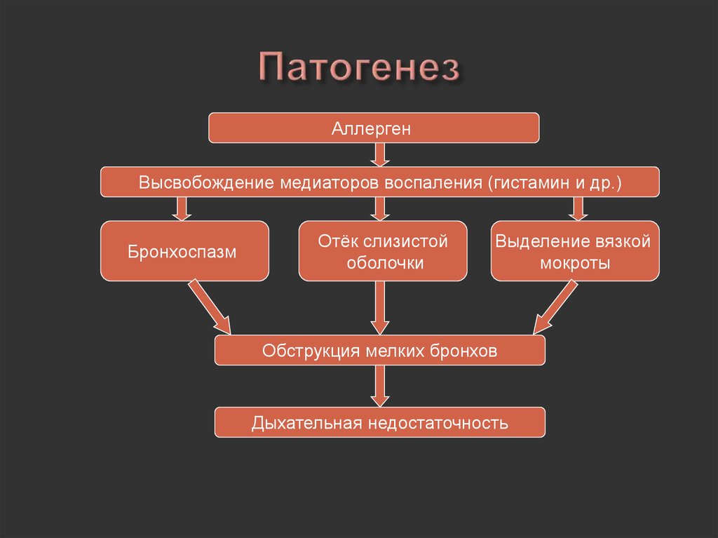 Бронхиальная астма патофизиология презентация