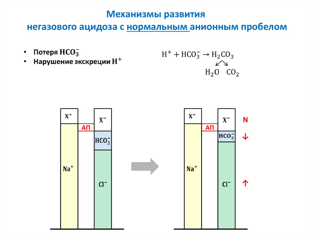 Развитие негазового ацидоза при почечной недостаточности схема