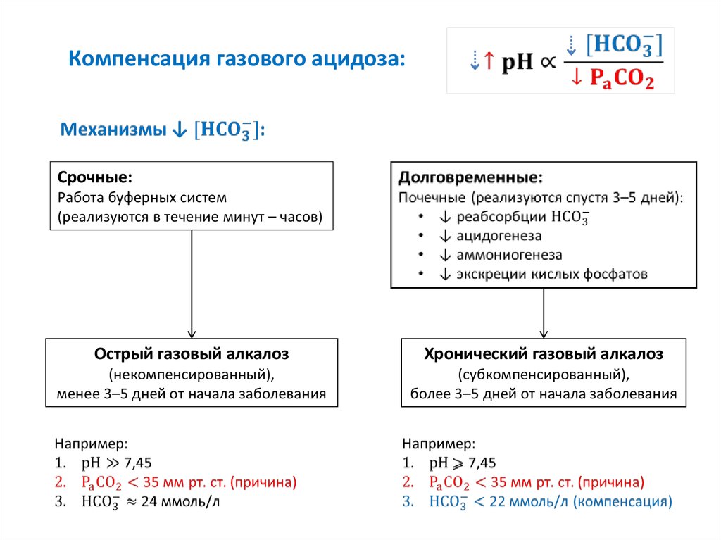 Кислотно основное состояние и газов