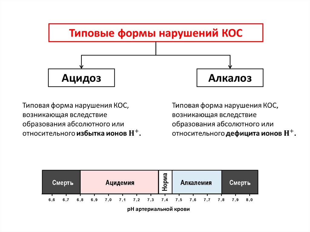 Развитие негазового ацидоза при почечной недостаточности схема