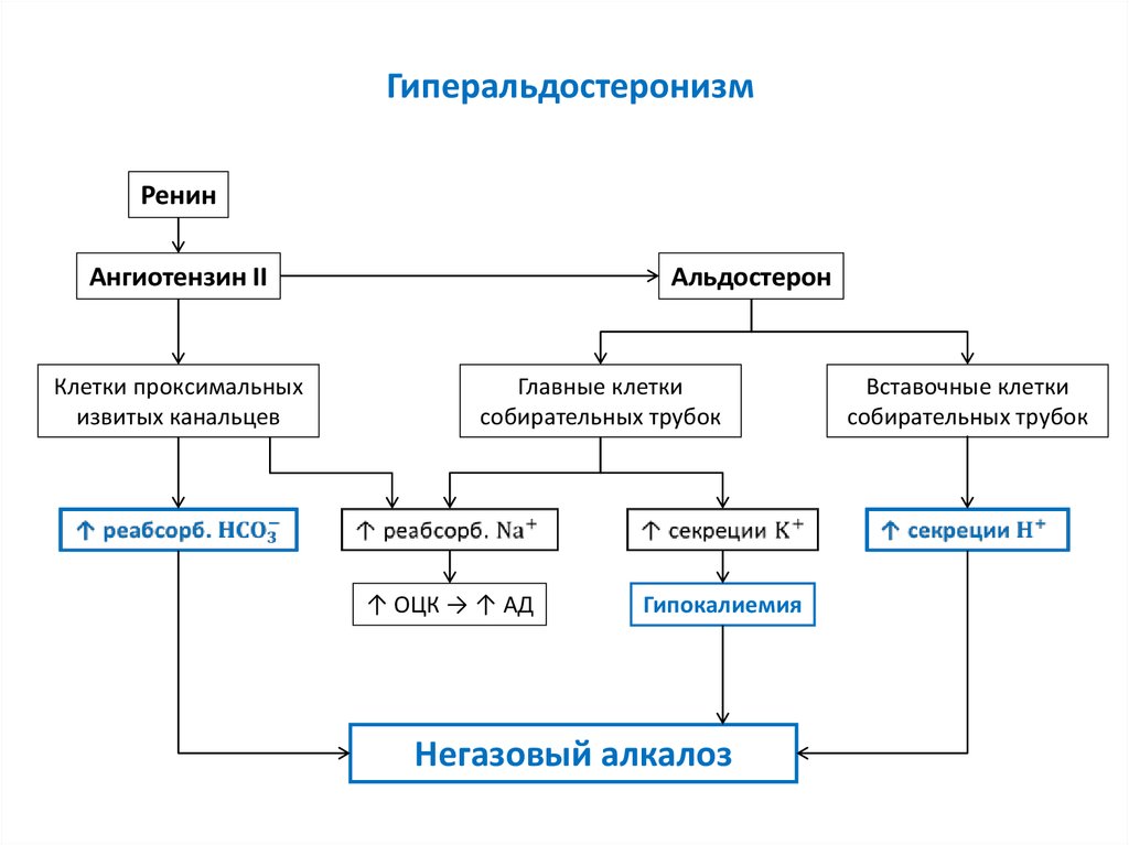 Патофизиология в схемах и таблицах нурмухамбетова