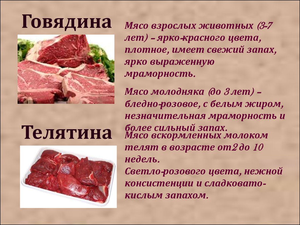 Мясо воняло. Чем отличается телятина от говядины. Мясо говядина. Телятина от говядины. Как отличить говядину от телятины.