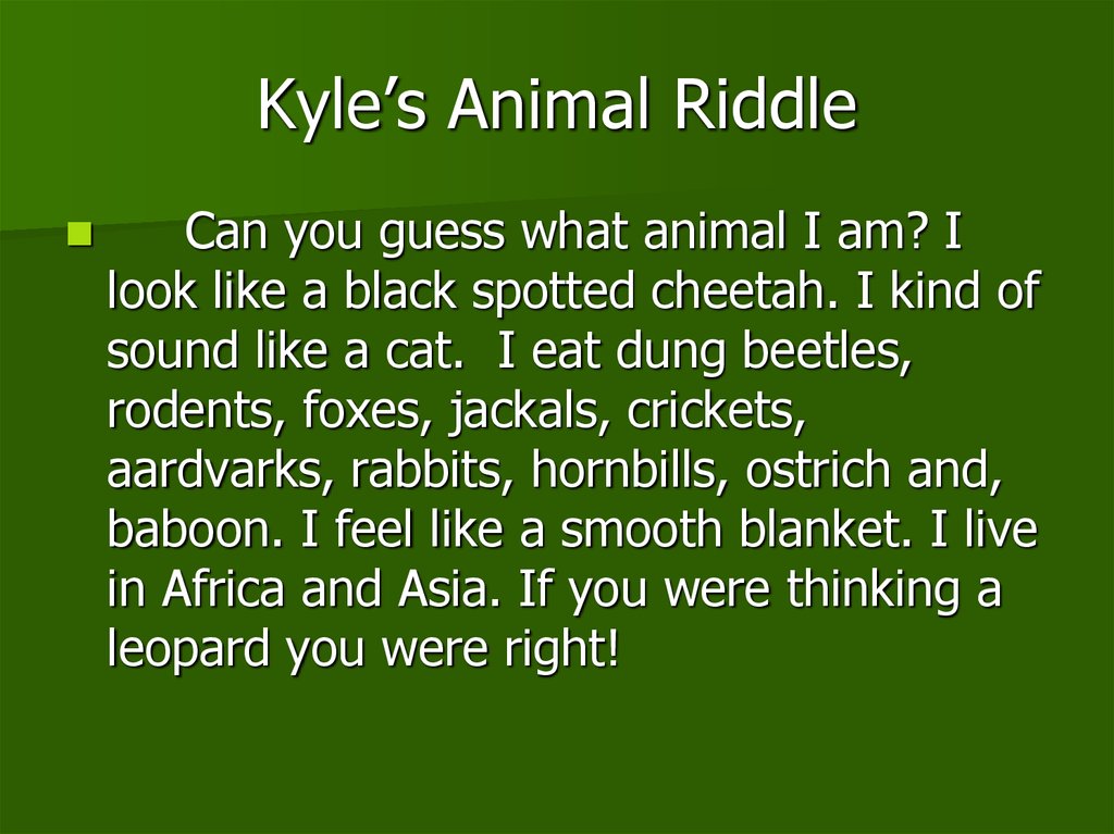 Kyle’s Animal Riddle