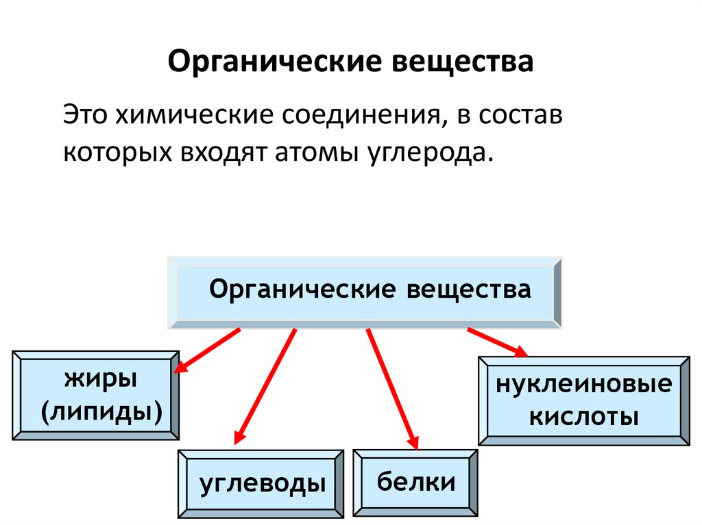 Органические вещества ответ. Из чего состоят органические вещества. Органические вещества это в биологии 6 класс определение. Органические вещества это кратко. Что такое органические вещества в биологии кратко.