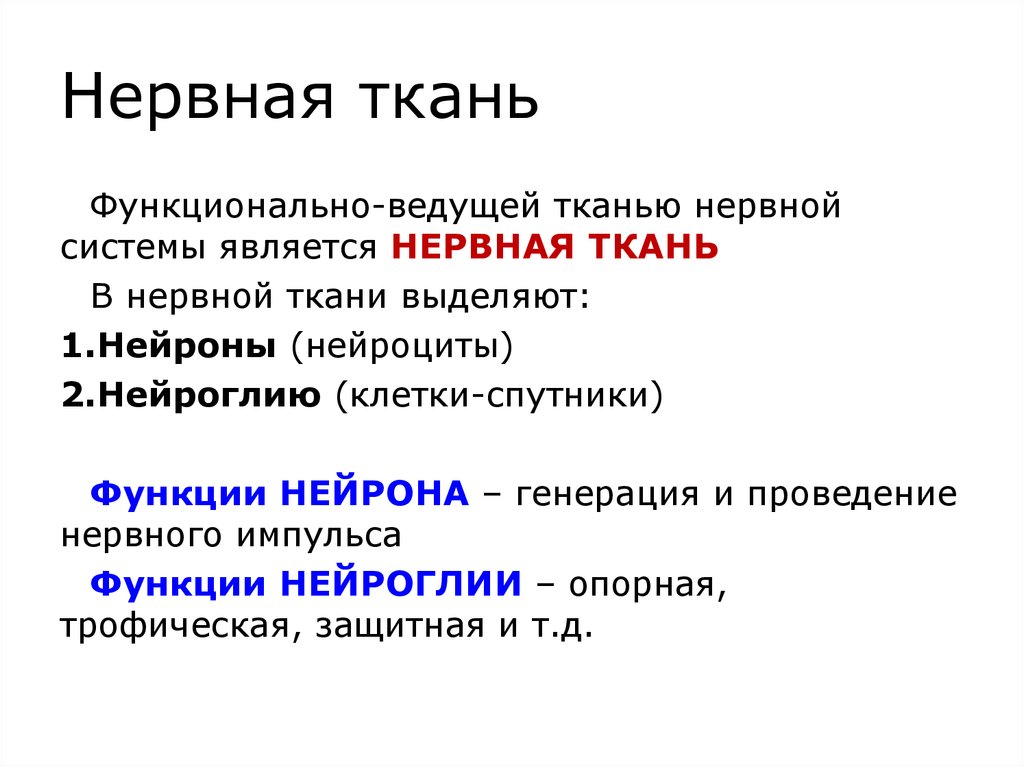 Нервная ткань. Функции нервной ткани. Значение нервной ткани. Значение, функция нервной ткани. Нервная ткань, функциональные свойства.