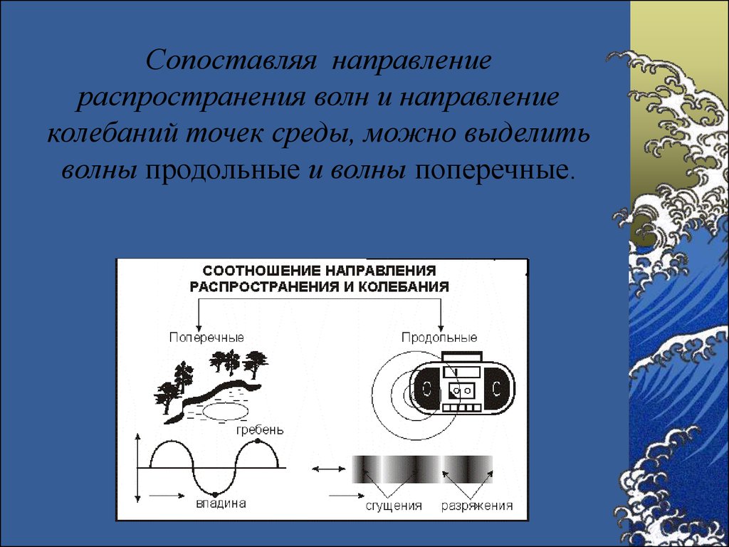 Распространение колебаний в среде волны