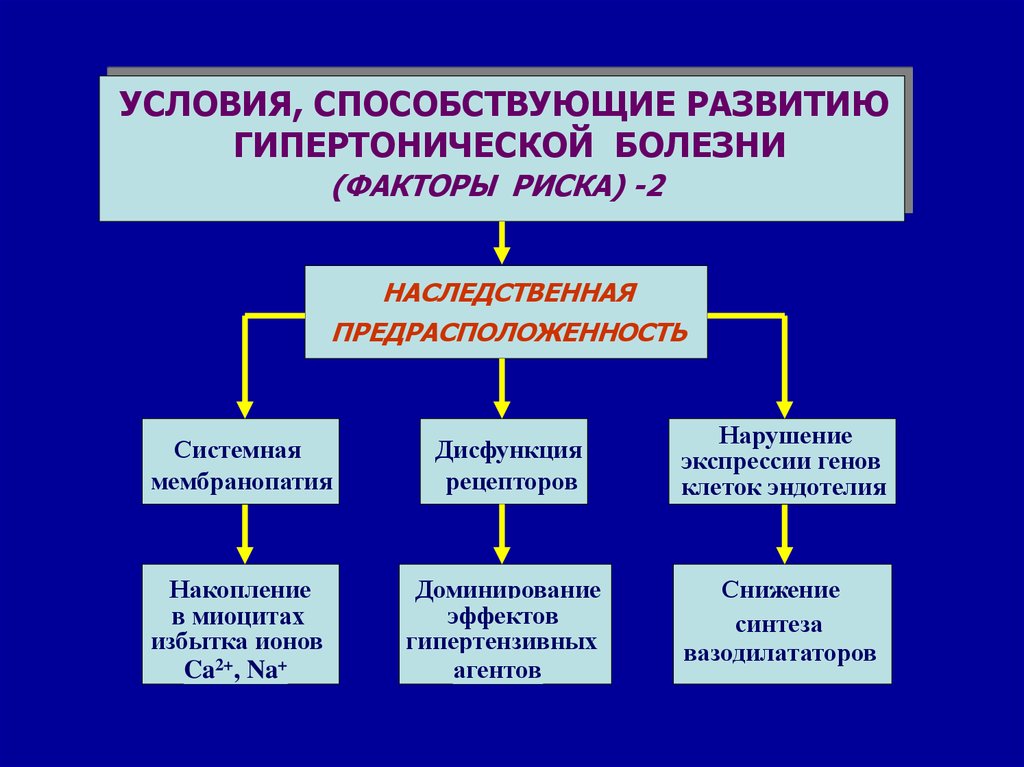 Условие заболевания. Факторы риска гипертонической болезни. Факторы развития гипертонии. Факторы развития гипертонической болезни. Предрасполагающие факторы гипертонической болезни.