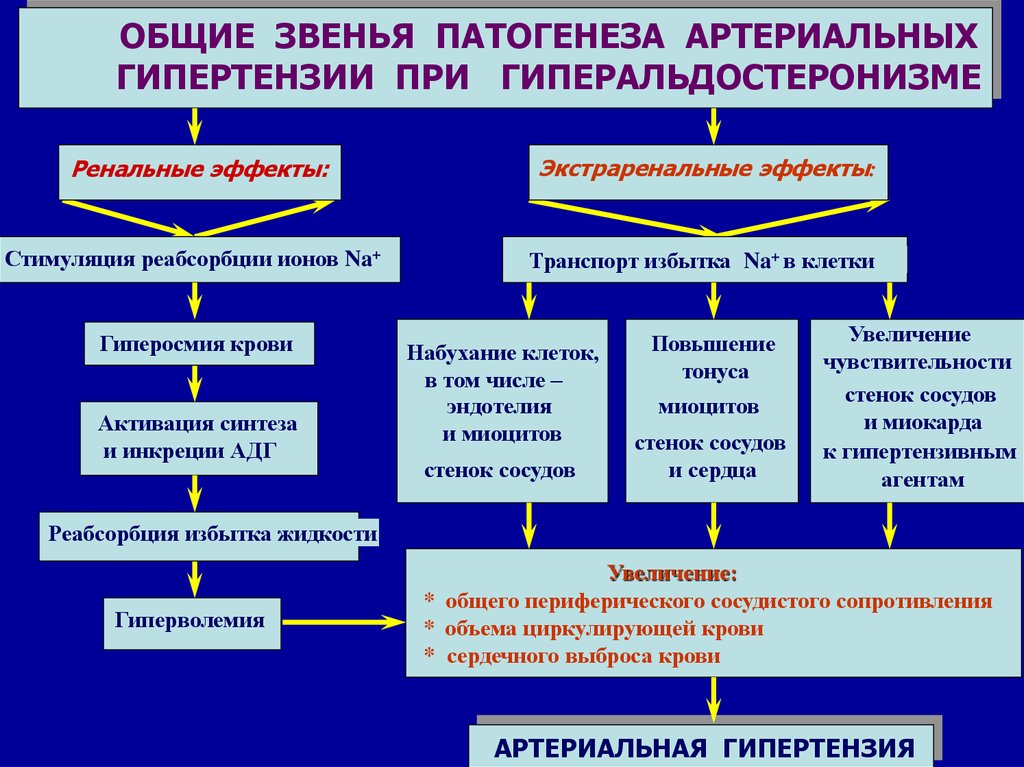 Этиология артериальной гипертензии