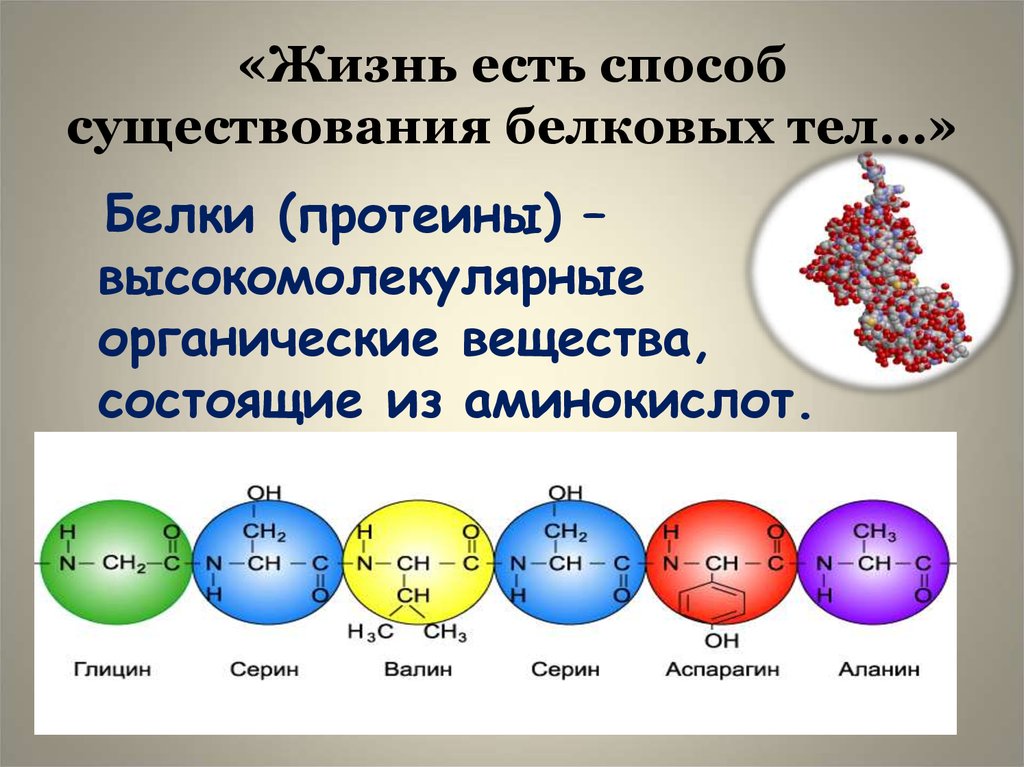 Аминокислоты химические соединения. Белки состоят из аминокислот. Органические соединения белки. Белки высокомолекулярные органические. Из чего состоит белок.