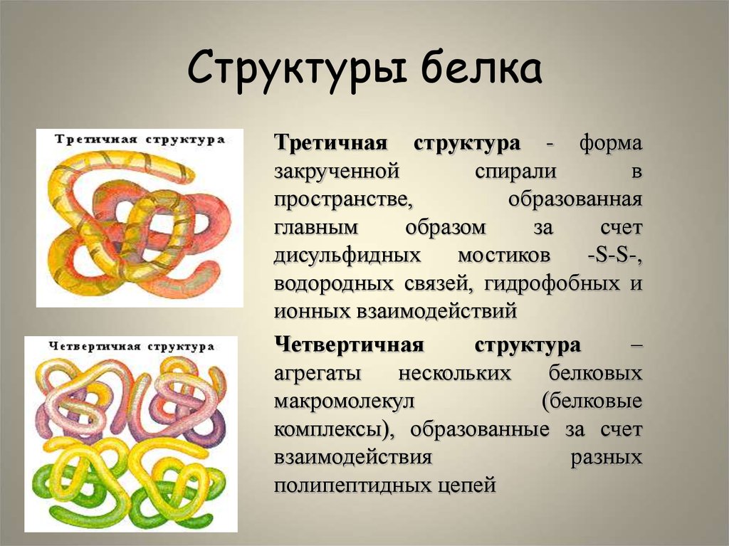 Белки а б в г. Третичная и четвертичная структура белка. Форма молекулы третичной структуры белка. Белки третичная структура и четвертичная. Третичная структура белков формула.