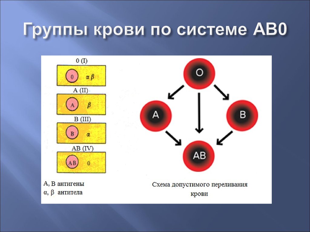 1 группа крови 5. Система ab0 группы крови. Система переливания крови ab0. Группы крови по системе ав0 физиология. Группы крови по системе ab0.