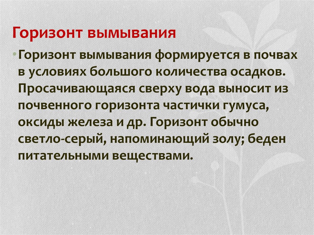 Горизонт вымывания имеют почвы. Горизонт вымывания почвы. Характеристика горизонта вымывания. Что такое Горизонт вымывание вымывание.