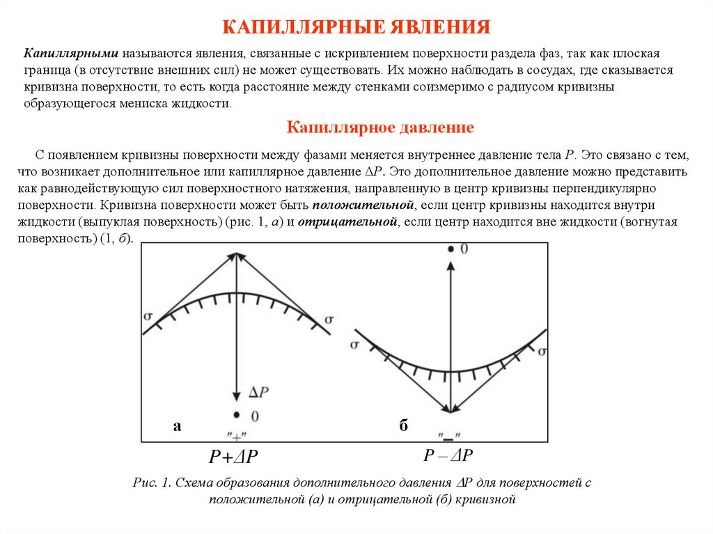 Поверхностные фазы. Влияние кривизны поверхности на внутреннее давление тел. Капиллярные явления. Кривизна поверхности жидкости. Капиллярные силы.