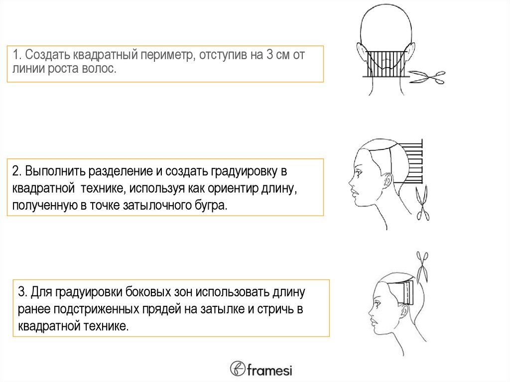 Градуировка схема. Градуировка в стрижке схема. Стрижка в технике линия квадрат. Техника линия в стрижках. Квадратная линия стрижка.