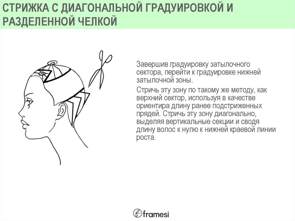 Градуировка в стрижке. Градуированная стрижка схема выполнения. Градуировка в стрижке схема. Градуировка на нижней затылочной зоне схема. Градуированная форма стрижки схема формы.